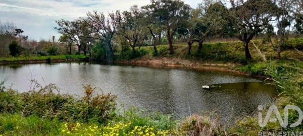 Moradia T2 para Venda em Nossa Senhora do Pópulo, Coto e São Gregório