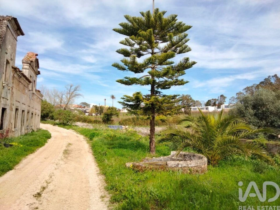 Moradia T2 para Venda em Nossa Senhora do Pópulo, Coto e São Gregório Foto 16