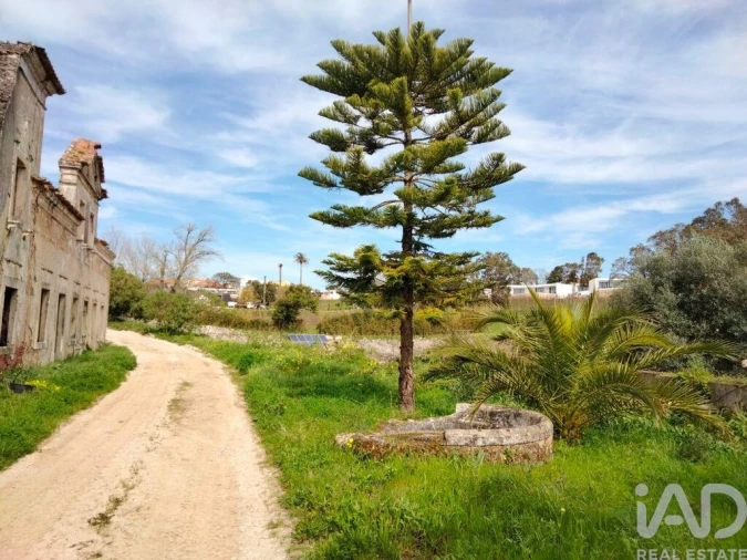Moradia T2 para Venda em Nossa Senhora do Pópulo, Coto e São Gregório Foto 16