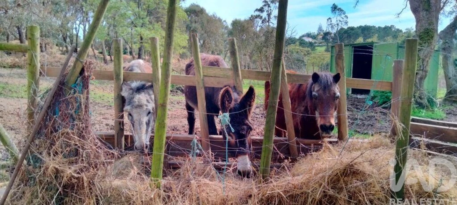 Moradia T2 para Venda em Nossa Senhora do Pópulo, Coto e São Gregório Foto 19