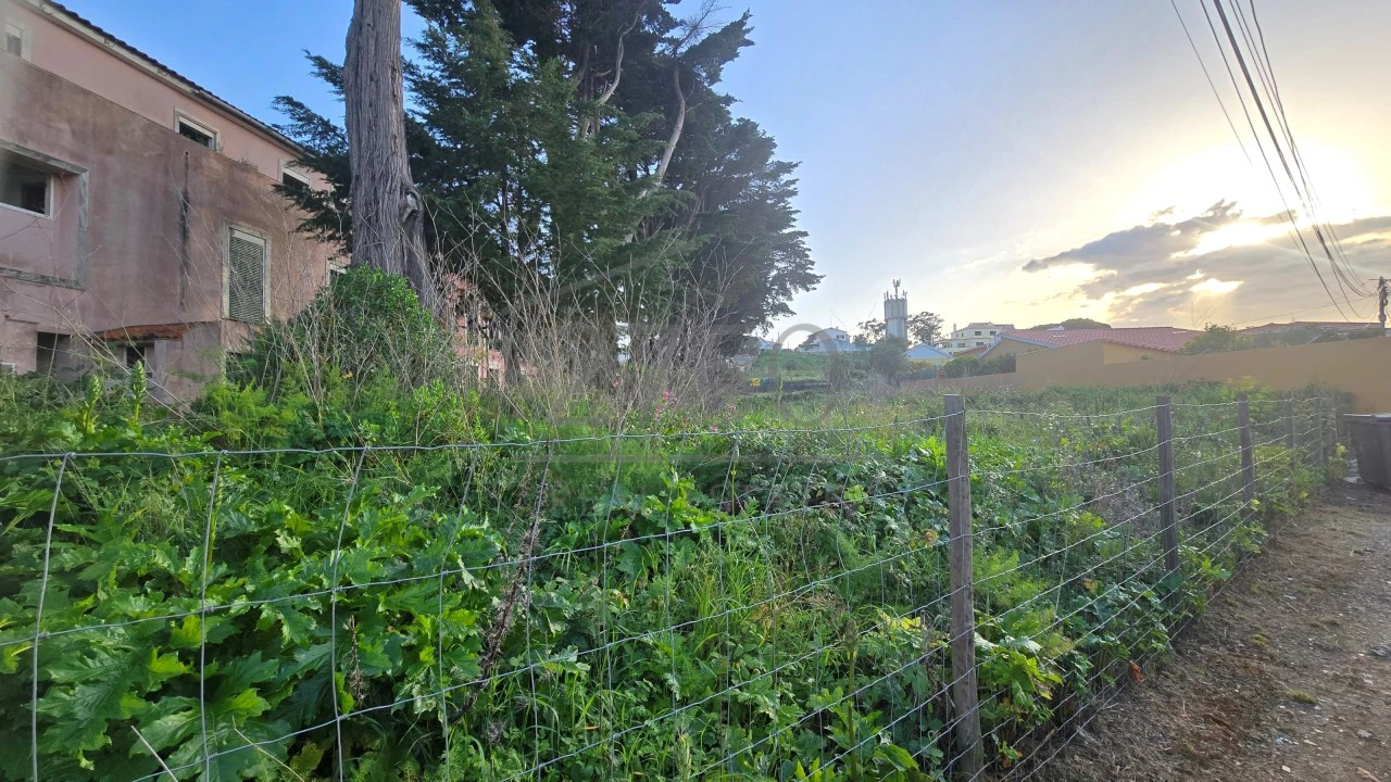 Terreno para Venda em Alcabideche Foto 4