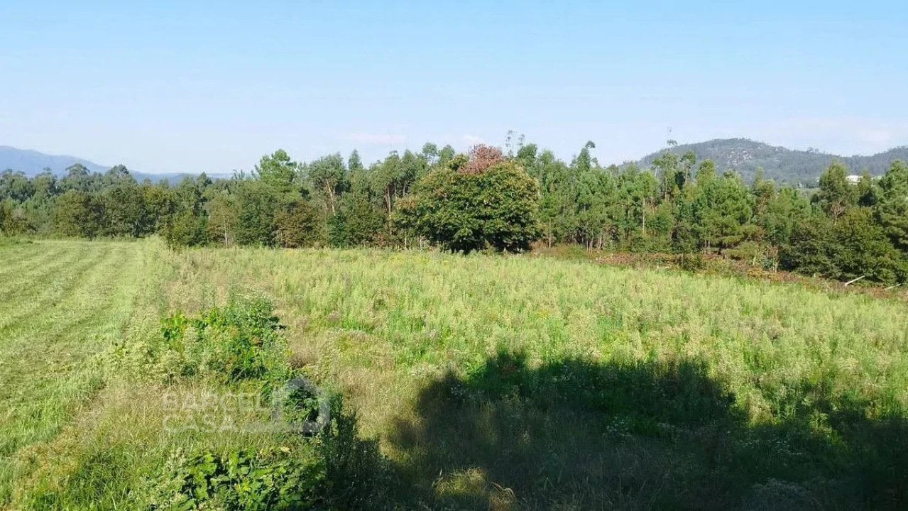 Terreno para Venda em Aborim Foto 5