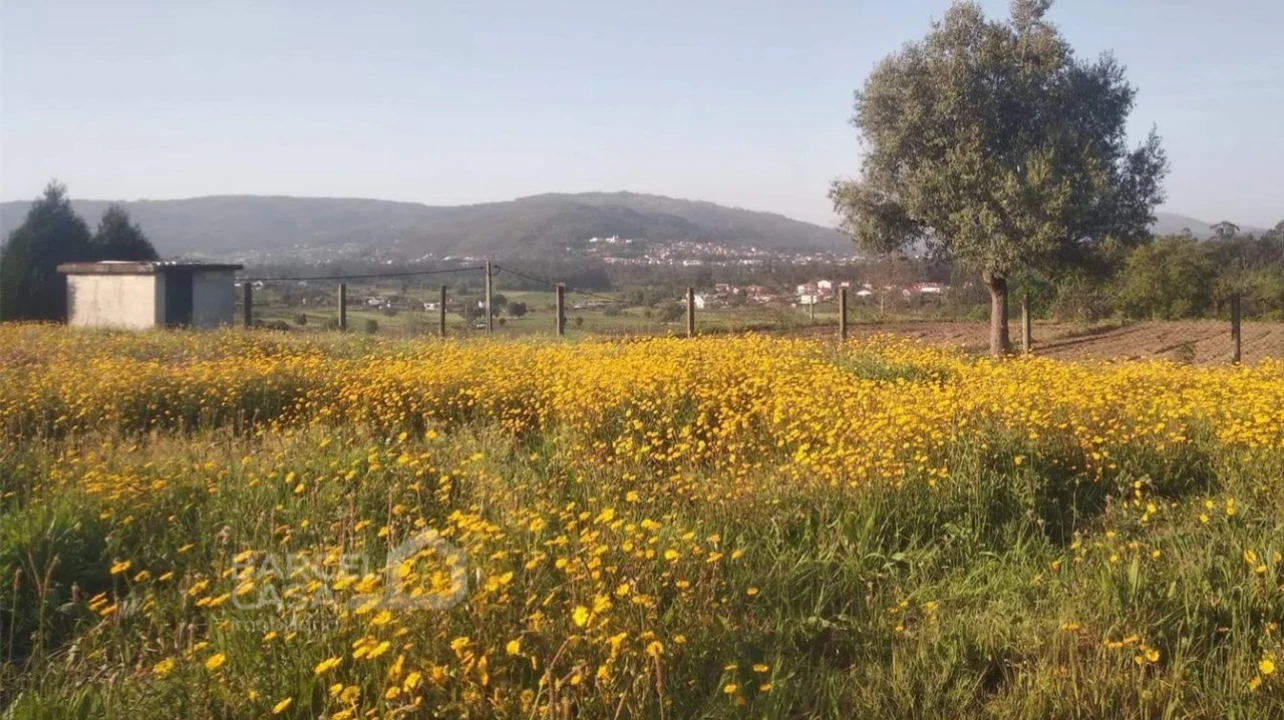 Terreno para Venda em Aborim Foto 6