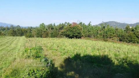Terreno para Venda em Aborim