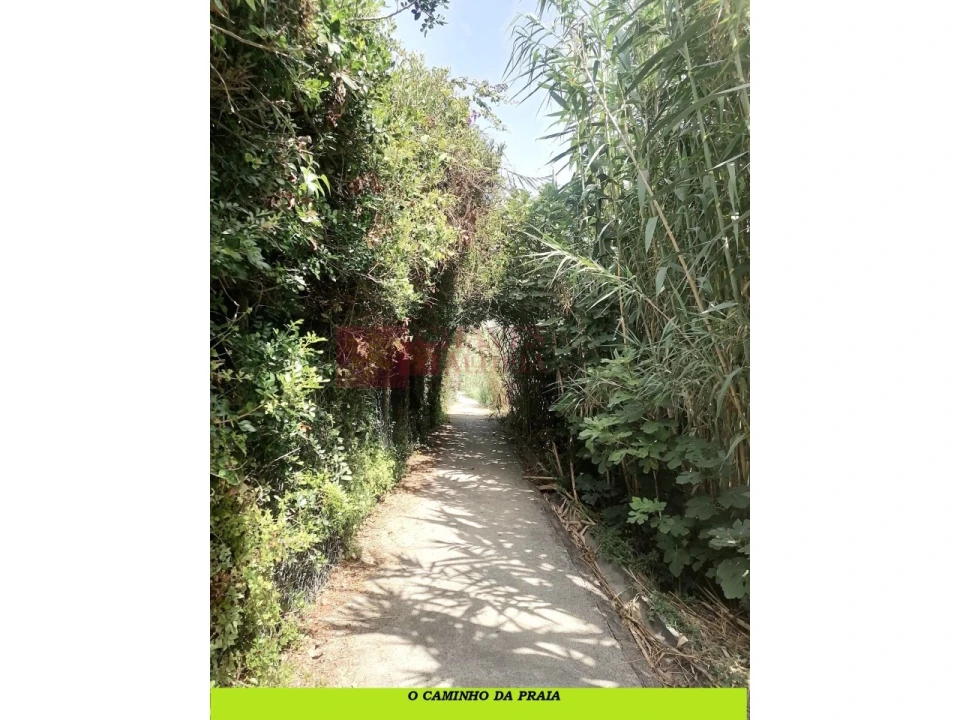 Apartamento T2 para Venda em Ericeira Foto 27