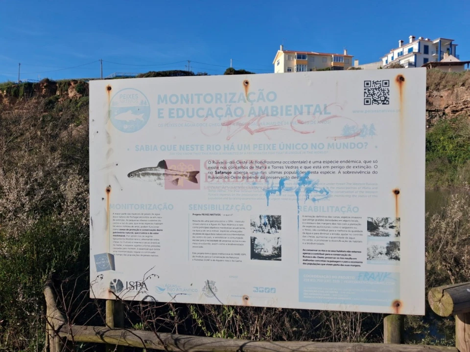 Apartamento T2 para Venda em Ericeira Foto 33