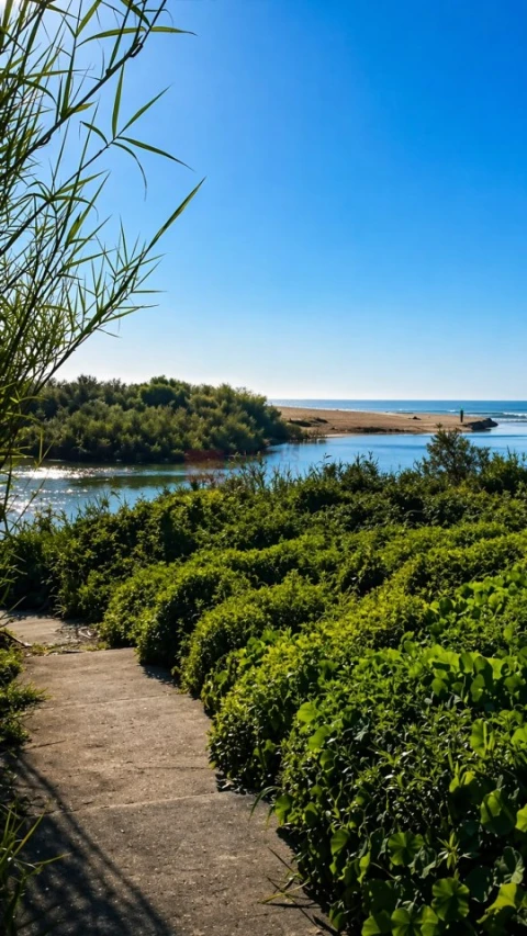 Apartamento T2 para Venda em Ericeira