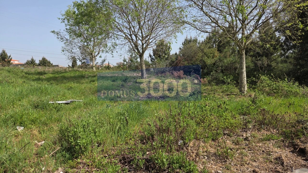 Terreno para Venda em Paços Foto 9