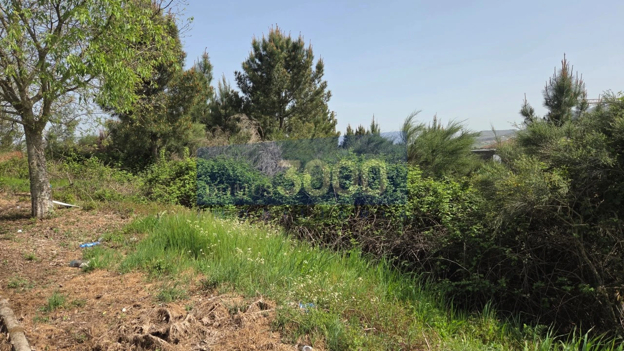 Terreno para Venda em Paços Foto 10