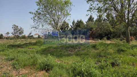 Terreno para Venda em Paços