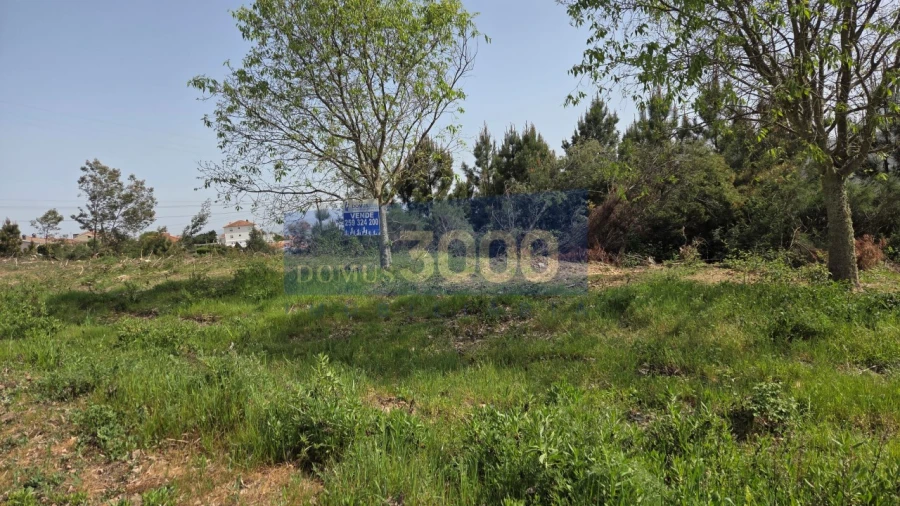 Terreno para Venda em Paços Foto 7