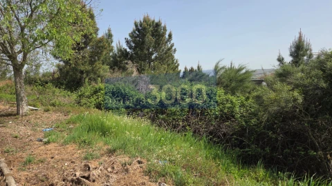 Terreno para Venda em Paços