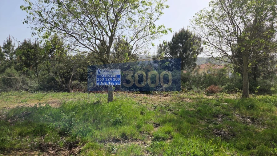 Terreno para Venda em Paços Foto 2