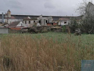 Prédio para Venda em São Miguel do Rio Torto e Rossio Ao Sul do Tejo