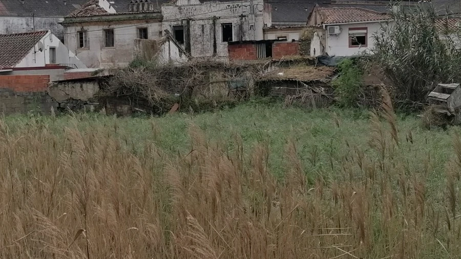 Prédio para Venda em São Miguel do Rio Torto e Rossio Ao Sul do Tejo