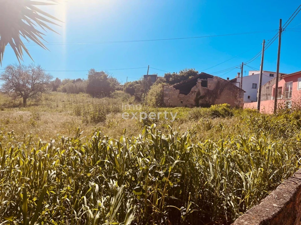 Terreno para Venda em Samuel Foto 14