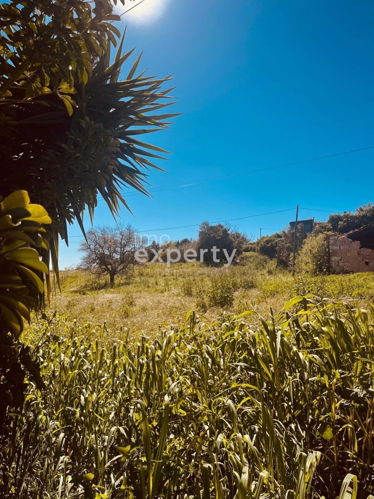 Terreno para Venda em Samuel Foto 12