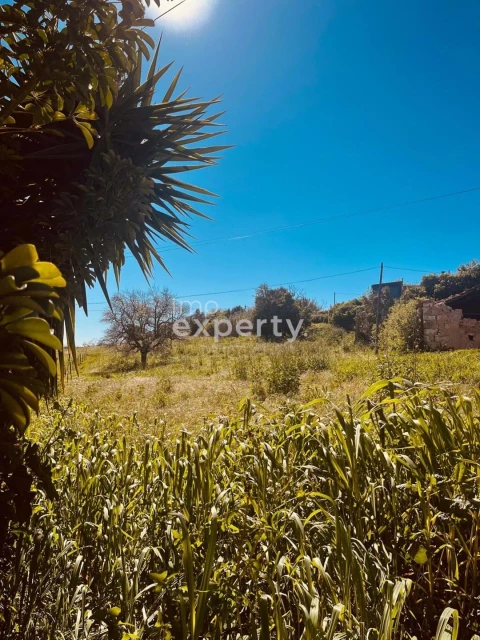 Terreno para Venda em Samuel