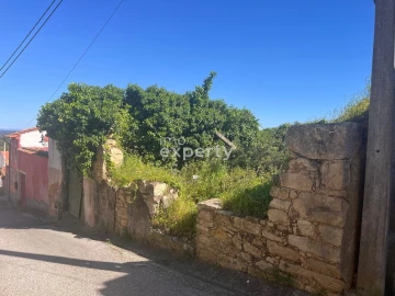 Terreno para Venda em Samuel