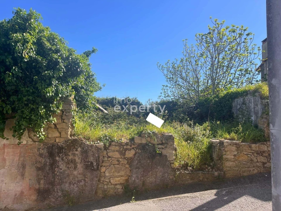 Terreno para Venda em Samuel Foto 7