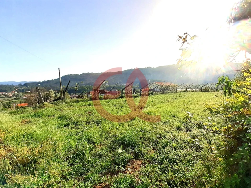 Terreno para Venda em Geraz do Lima (Santa Maria, Santa Leocádia, Moreira), Deão Foto 2