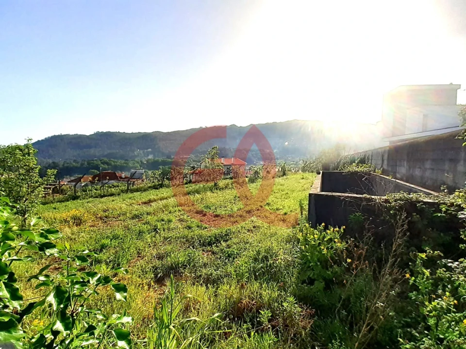 Terreno para Venda em Geraz do Lima (Santa Maria, Santa Leocádia, Moreira), Deão Foto 4