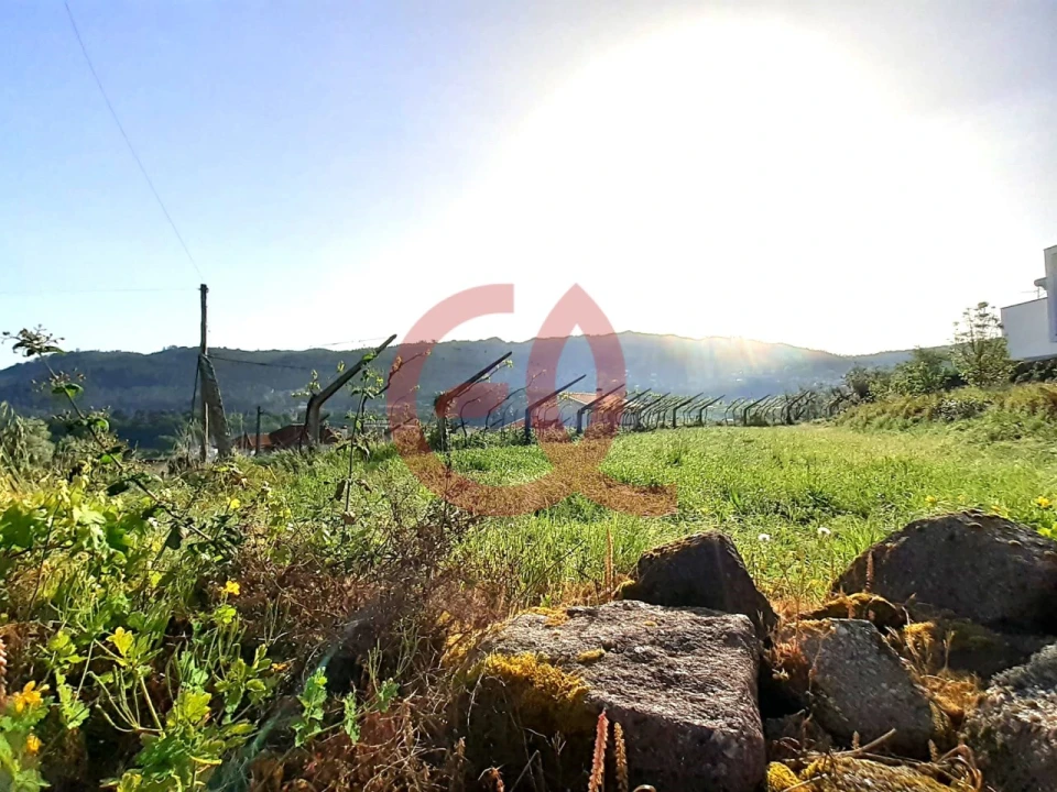 Terreno para Venda em Geraz do Lima (Santa Maria, Santa Leocádia, Moreira), Deão Foto 6