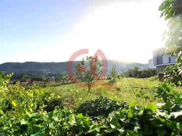 Terreno para Venda em Geraz do Lima (Santa Maria, Santa Leocádia, Moreira), Deão