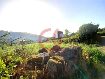 Terreno para Venda em Geraz do Lima (Santa Maria, Santa Leocádia, Moreira), Deão