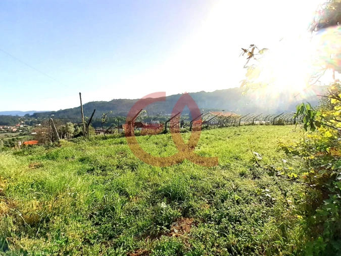 Terreno para Venda em Geraz do Lima (Santa Maria, Santa Leocádia, Moreira), Deão Foto 2