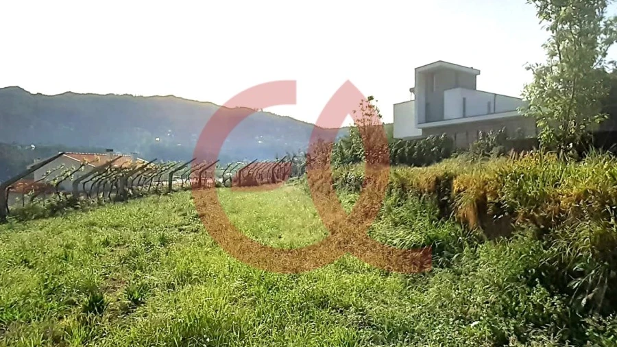 Terreno para Venda em Geraz do Lima (Santa Maria, Santa Leocádia, Moreira), Deão