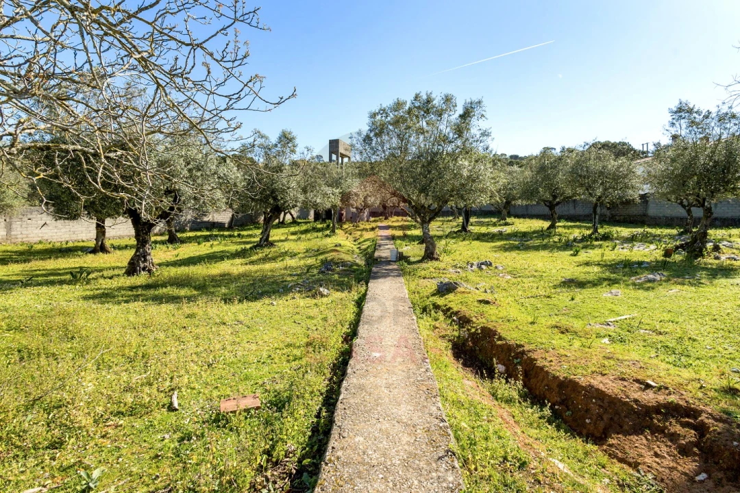 Terreno para Venda em Minde Foto 1