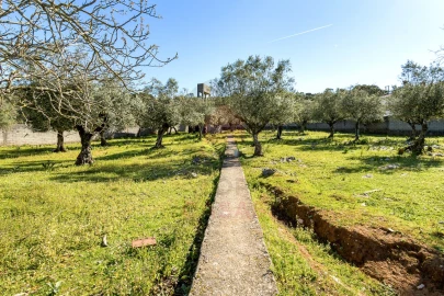 Terreno para Venda em Minde
