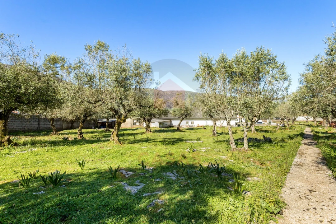 Moradia T5 para Venda em Minde Foto 28