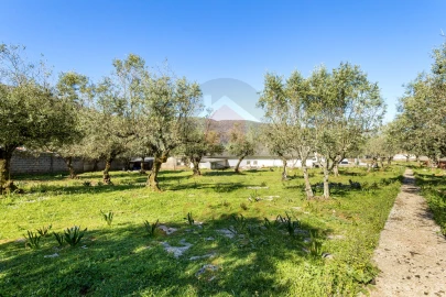 Moradia T5 para Venda em Minde