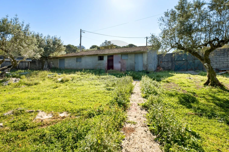 Moradia T5 para Venda em Minde Foto 29