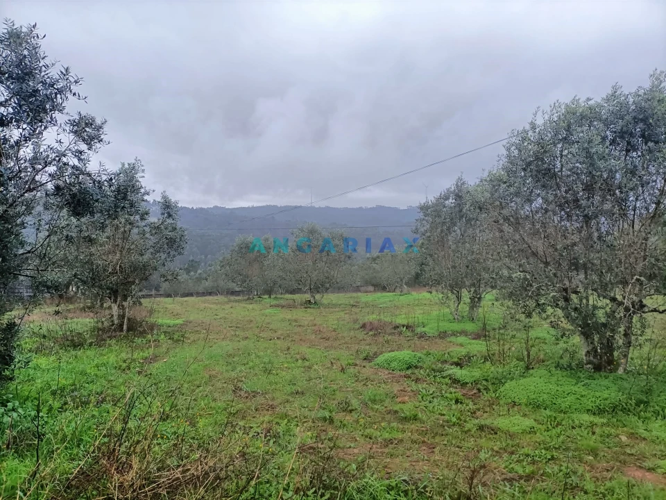Terreno para Venda em Santa Catarina da Serra e Chainça Foto 1