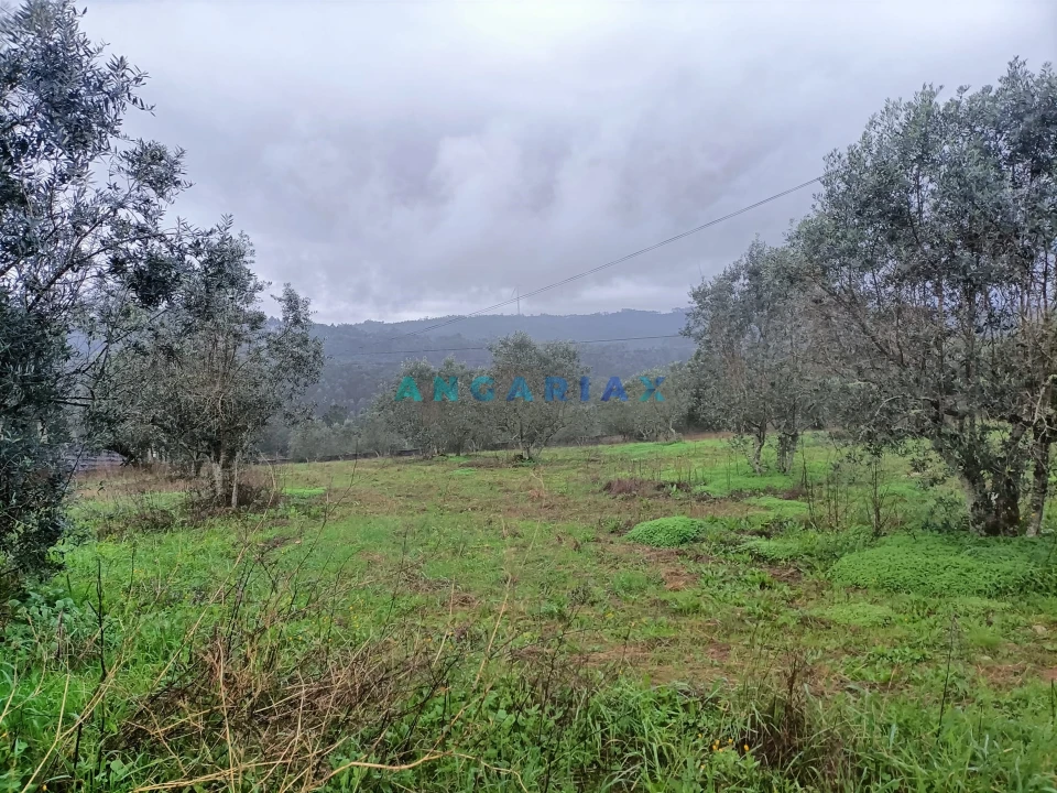 Terreno para Venda em Santa Catarina da Serra e Chainça Foto 4