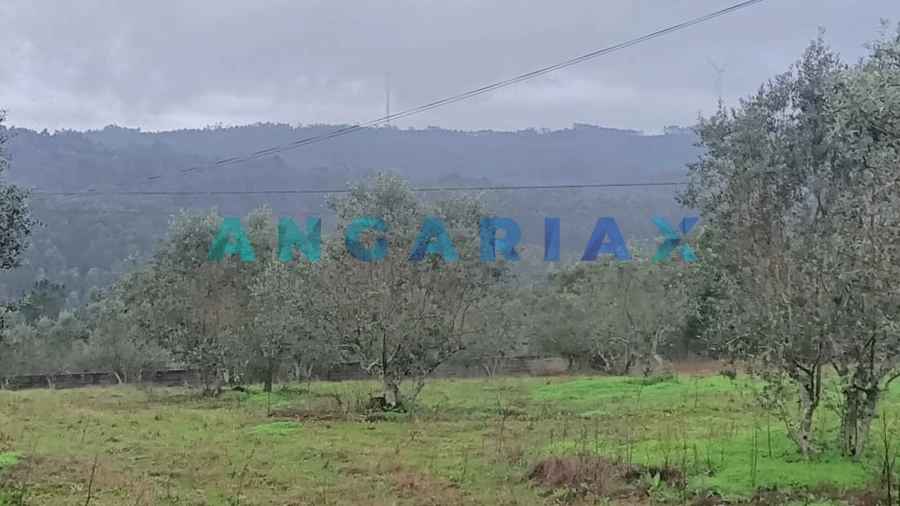Terreno para Venda em Santa Catarina da Serra e Chainça