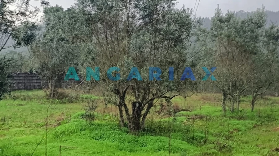 Terreno para Venda em Santa Catarina da Serra e Chainça