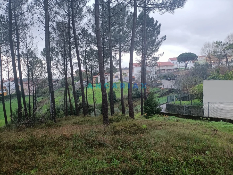 Terreno para Venda em Santa Catarina da Serra e Chainça Foto 2