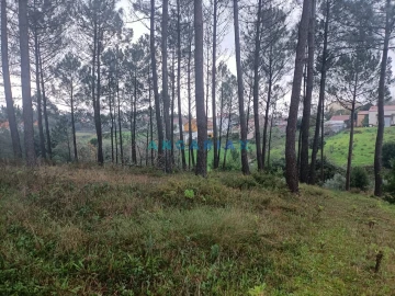 Terreno para Venda em Santa Catarina da Serra e Chainça