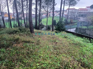 Terreno para Venda em Santa Catarina da Serra e Chainça