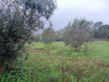 Terreno para Venda em Santa Catarina da Serra e Chainça
