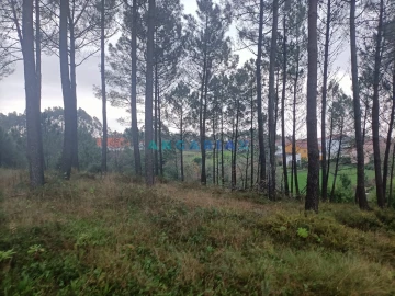 Terreno para Venda em Santa Catarina da Serra e Chainça