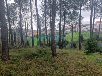 Terreno para Venda em Santa Catarina da Serra e Chainça