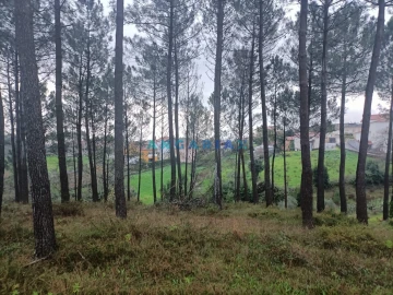 Terreno para Venda em Santa Catarina da Serra e Chainça
