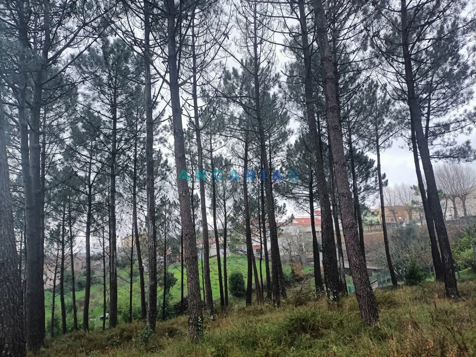 Terreno para Venda em Santa Catarina da Serra e Chainça Foto 7
