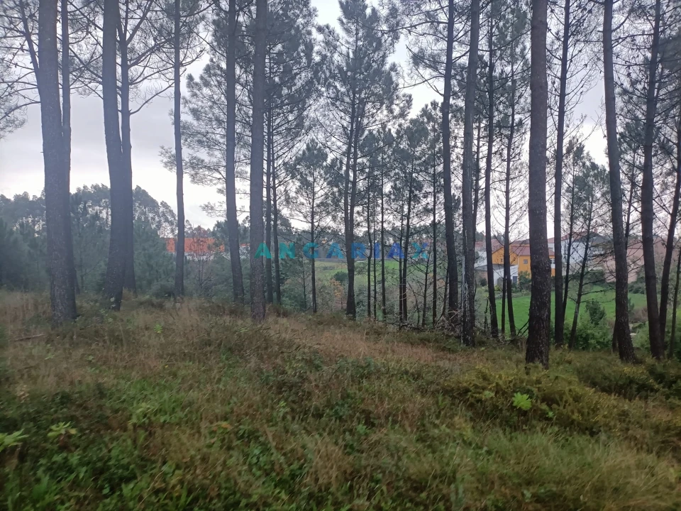 Terreno para Venda em Santa Catarina da Serra e Chainça Foto 4