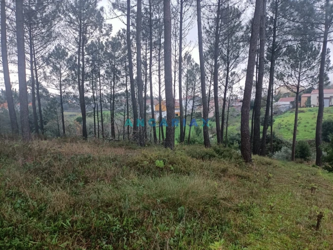 Terreno para Venda em Santa Catarina da Serra e Chainça Foto 5